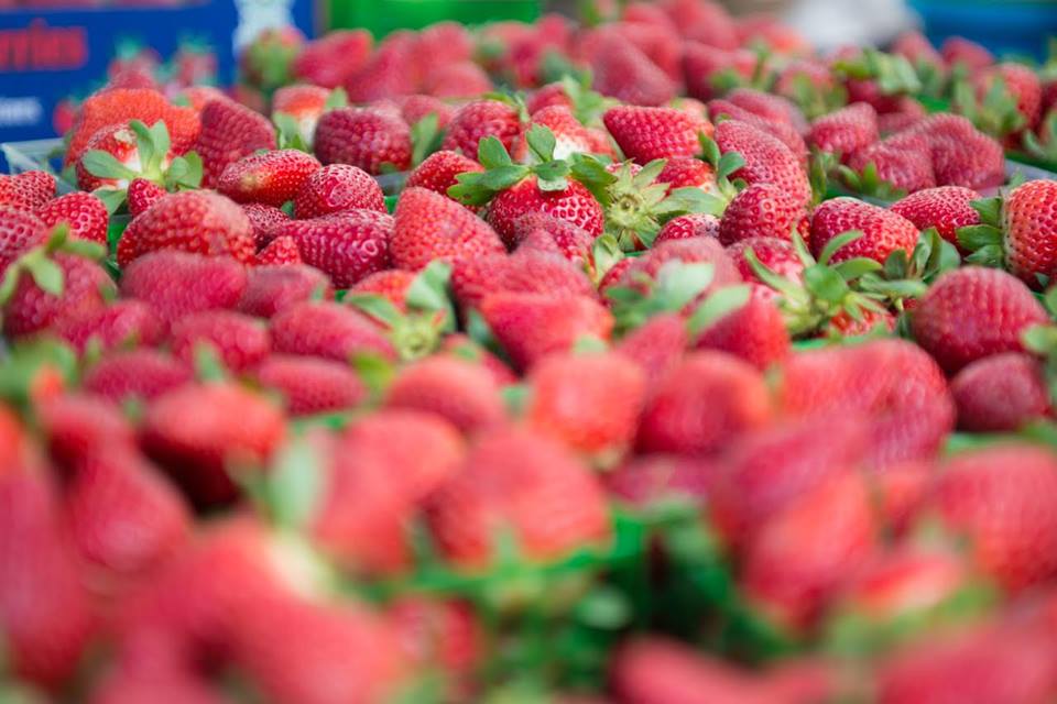 Local Roots Farmers Markets | Visit Fort Myers