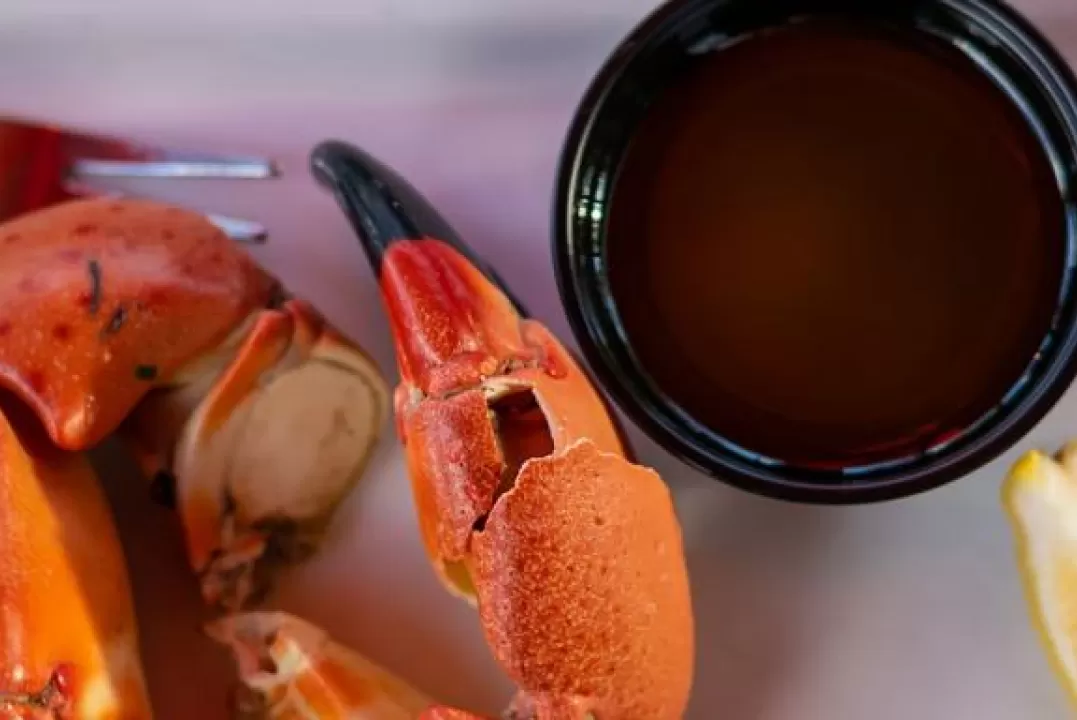 A close up of a plate of seafood