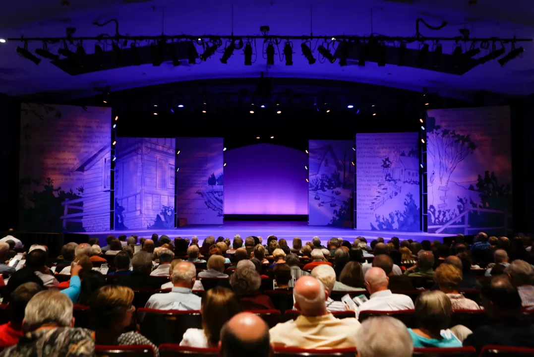 people attending show looking at stage