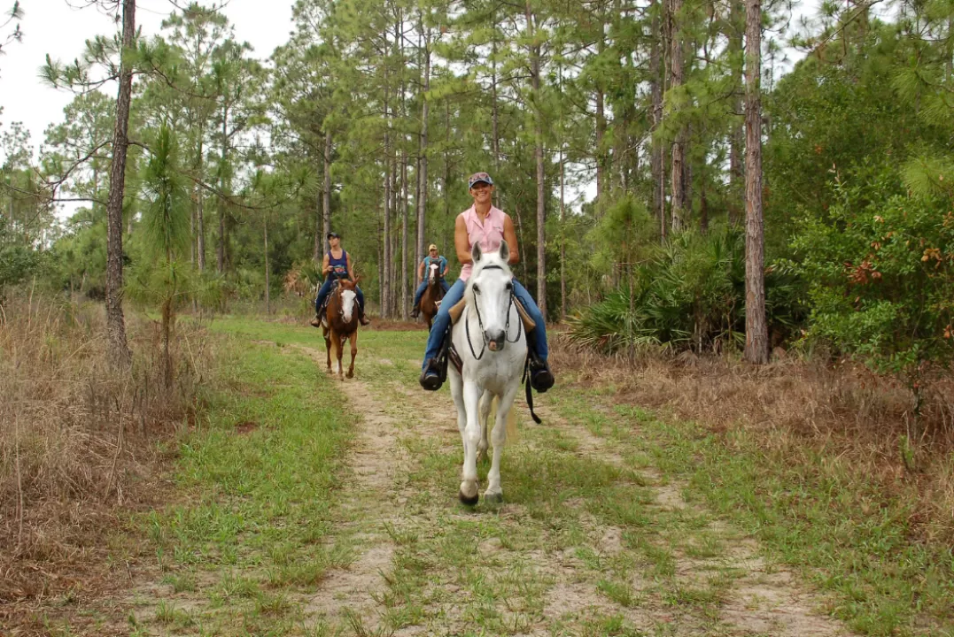 horseback riding