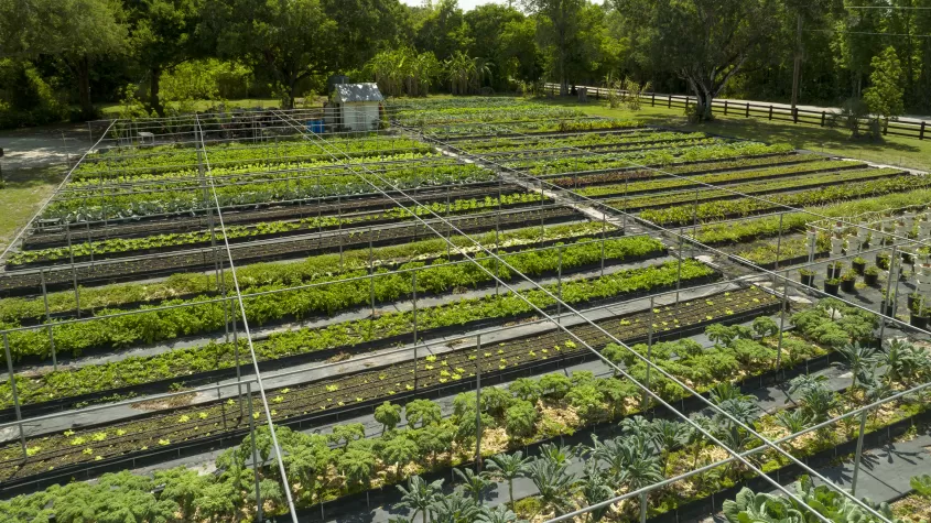 Buckingham farms aerial image