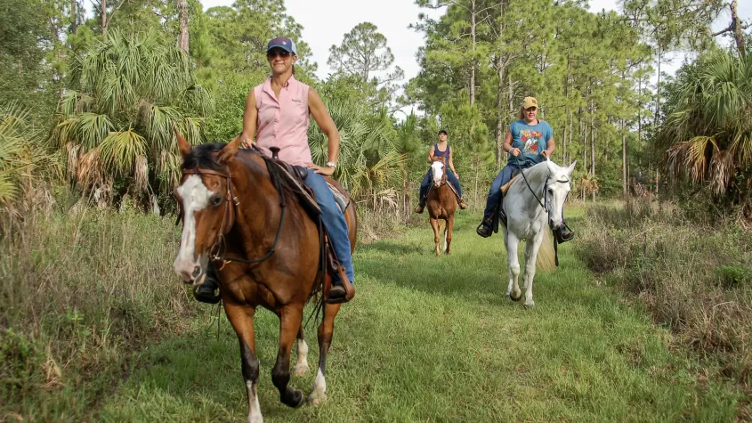 Lee County Parks & Recreation | Visit Fort Myers