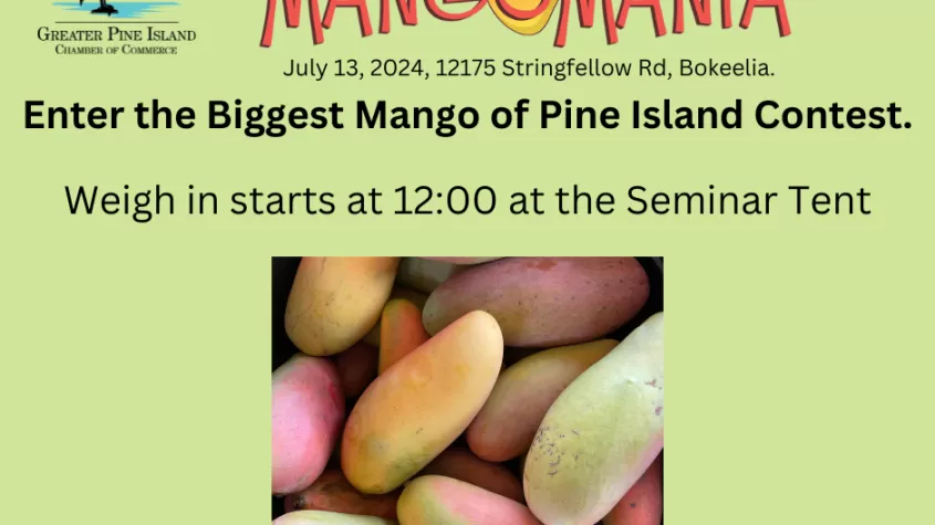 Biggest Mango weigh in at noon