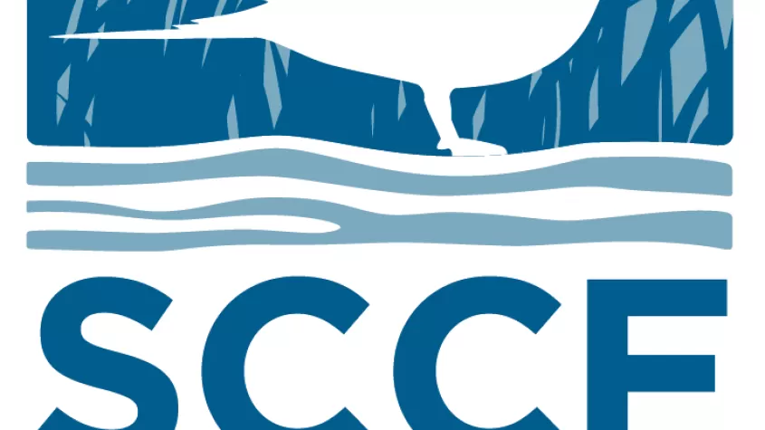 logo sccf