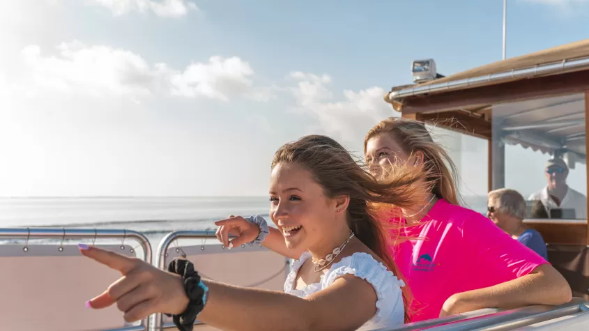 sightseeing on cruise