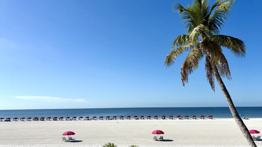 beach view of white sandy beach palm trees beach chairs and umbrellas blue skies and blue water
