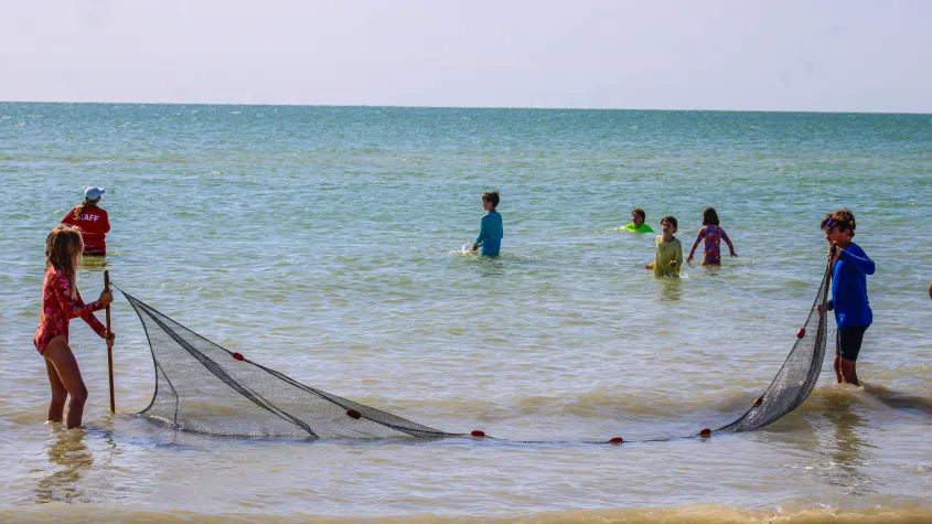 children catching marine creatures with net