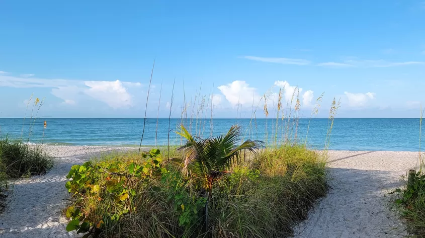 A beach dune near calm blue Gulf waters