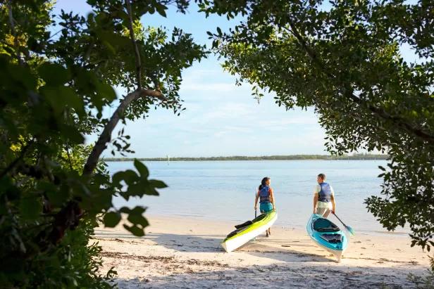 2 people walk kayaking into the calm waters surrounded by mangroves
