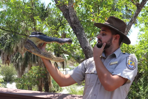 A Ranger holds an alligator in front of his face. 
