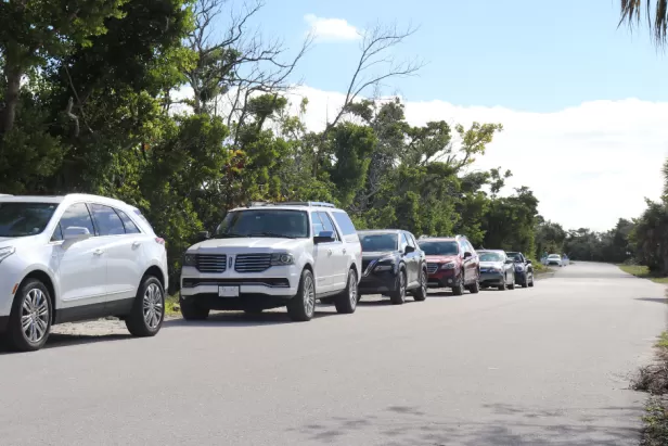 A line of cars along Wildlife Drive. 
