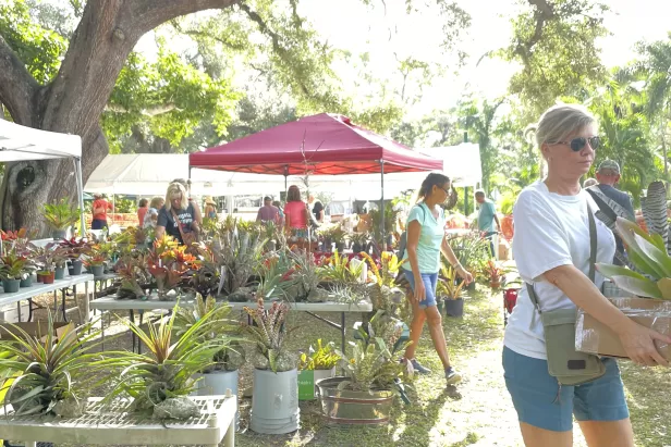 Pick out a cool Bromeliad for your garden. 
