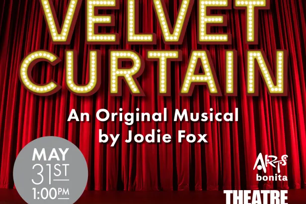 Velvet Curtain

