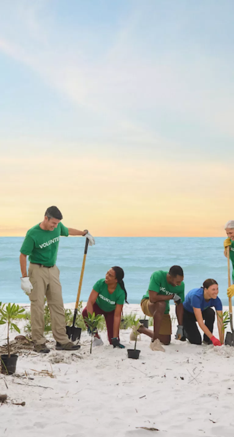 A group of people plant mangroves on the beach during a team building activity