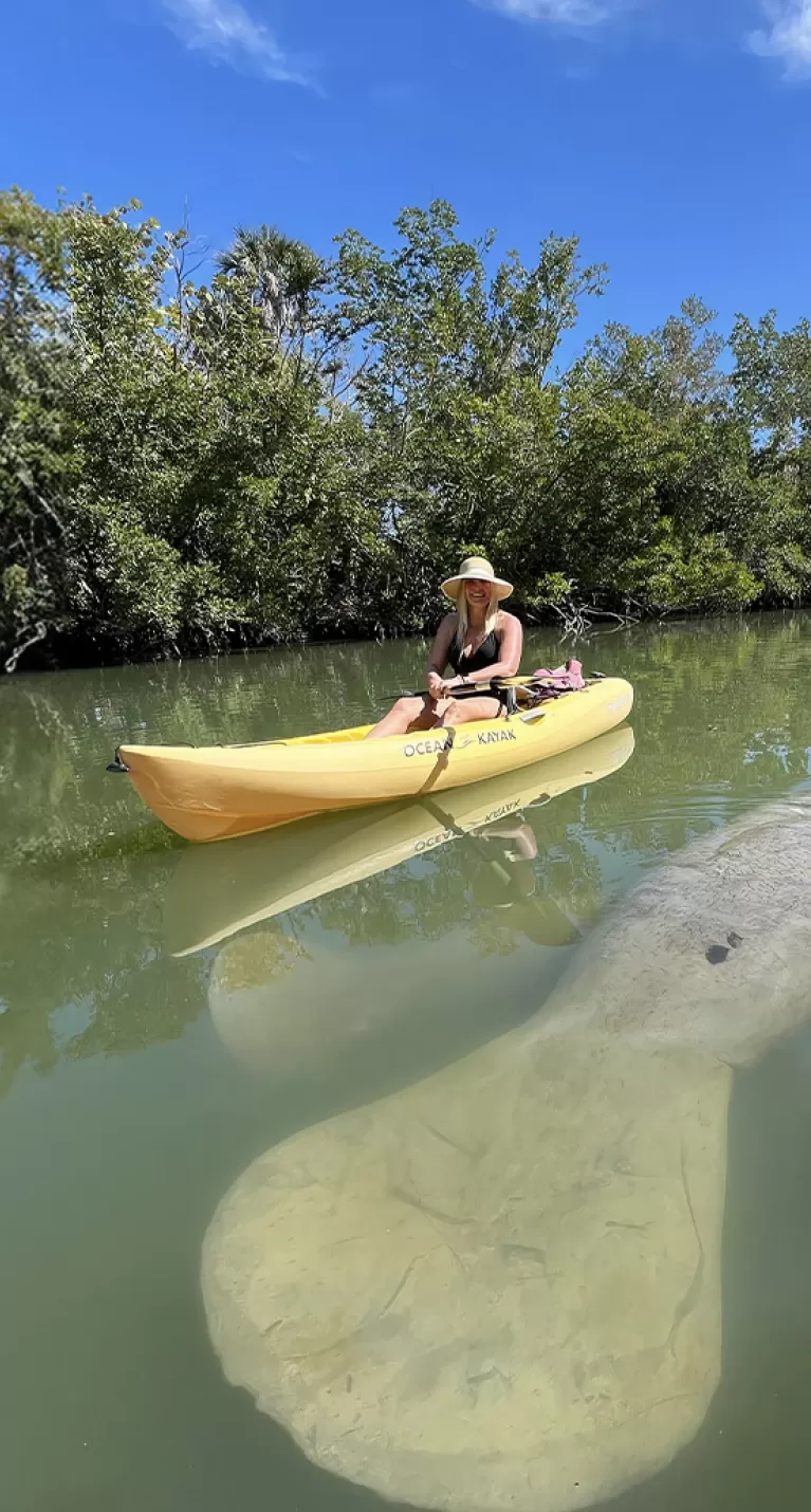 A woman kayaking on the water near a manatee