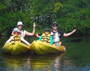 Paddling Water Kayak Mangroves