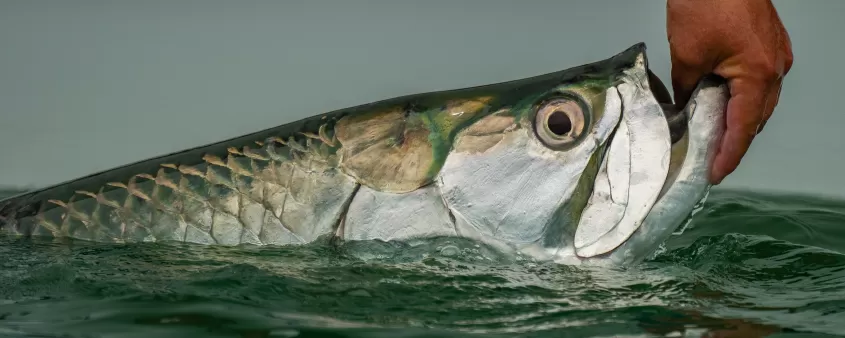 led_lighting_on_fishing_boat3.jpg