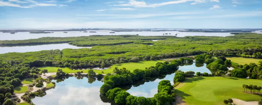 Saltleaf Golf Preserve