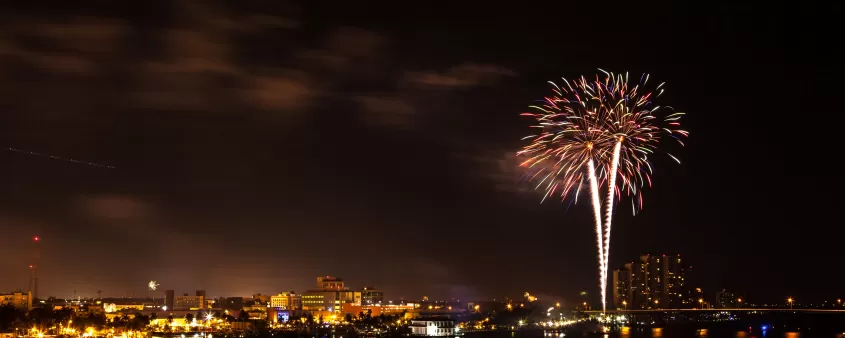 Fireworks are lit up in the night sky over the water