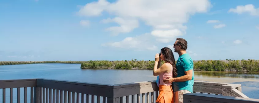 Couple bird watching on Sanibel Island