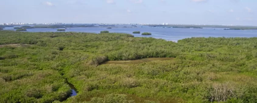 Coastal Treasures: Southwest Florida’s State Parks | Visit Fort Myers