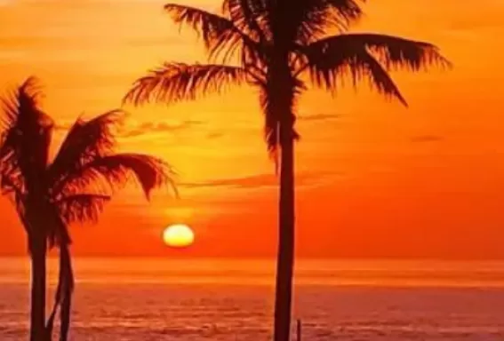 Sunset