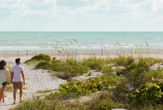 Serene beaches await 