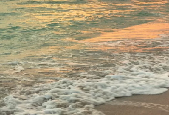 Pristine beaches await with gentle waves.