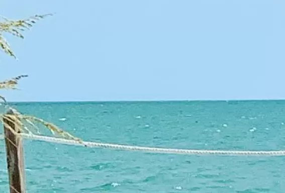 Water, water everywhere.