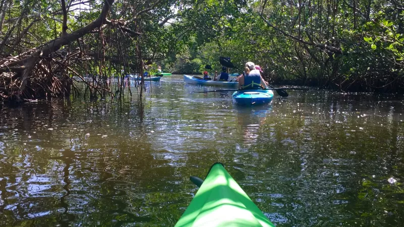 The Great Calusa Blueway - Visit Fort Myers - Kayaking & Canoeing in SW FL