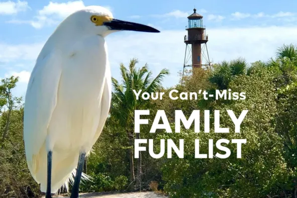 A shore bird stands in the foreground with the Sanibel Lighthouse in the background