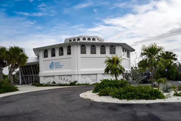 Shell Museum 